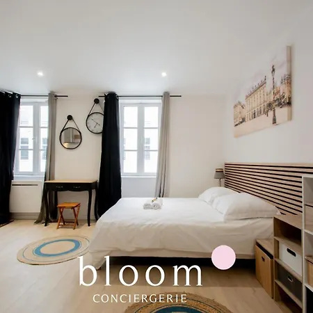 Nancy Coeur De Ville Le Studio Des Artistes 2 Apartment Nancy